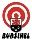Tir Bursinel